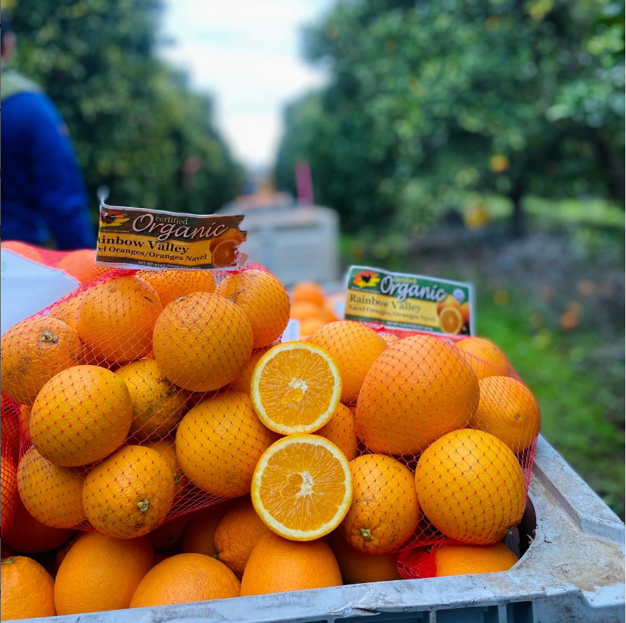 RVO Oranges in cart